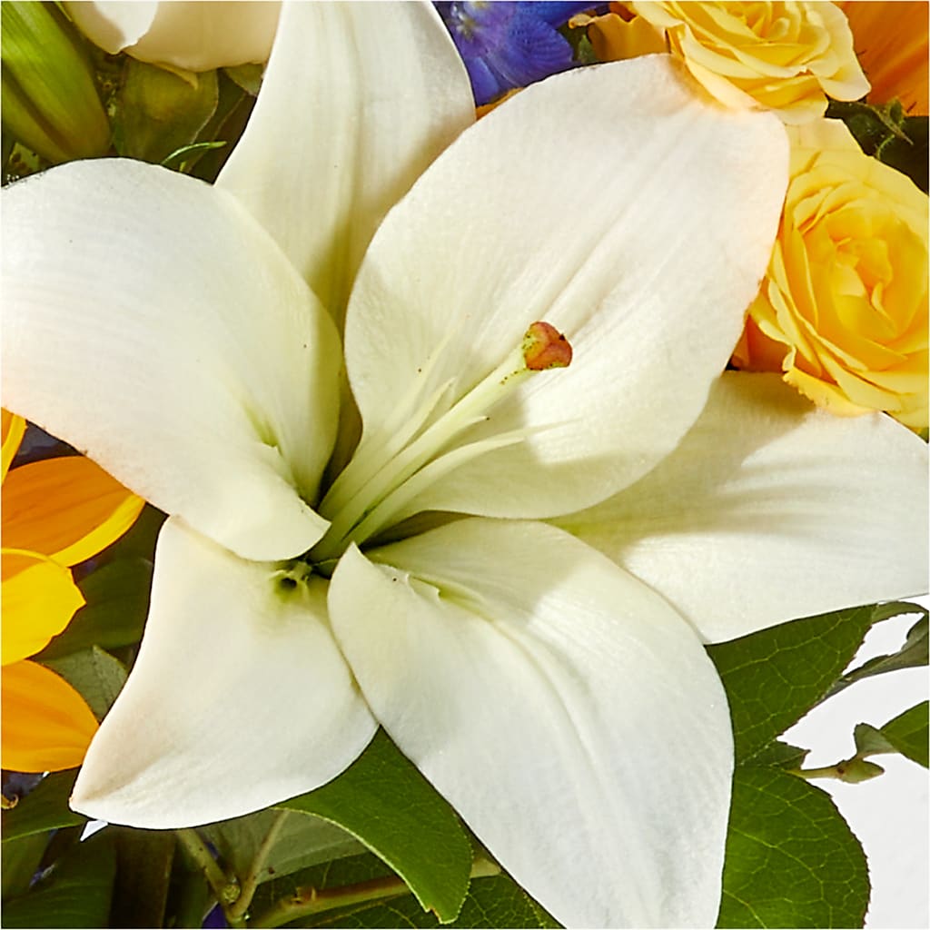 Wonderfully Sunny Bouquet –  Floreria Reno, Reno NV