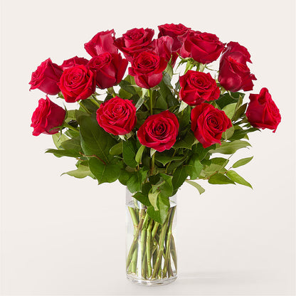 The One Red Rose Bouquet –  Floreria Reno, Reno NV