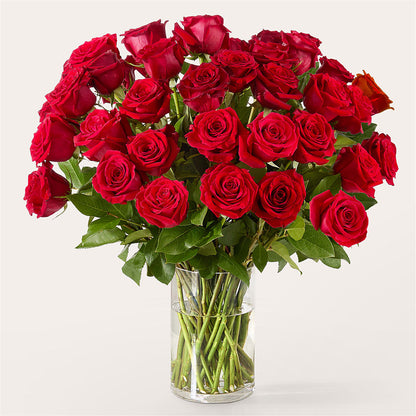 The One Red Rose Bouquet –  Floreria Reno, Reno NV
