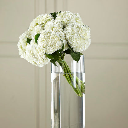 White Hydrangea Hand-Tied Bouquet –  Floreria Reno, Reno NV