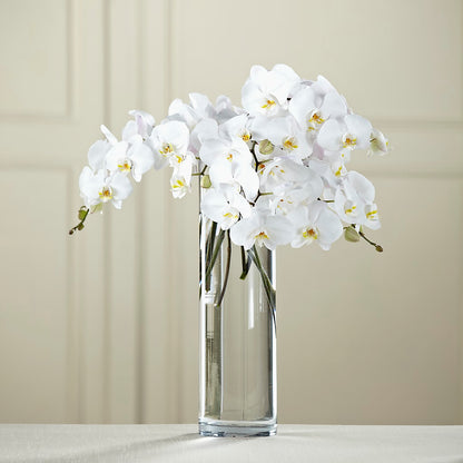 White Phalaenopsis Bouquet –  Floreria Reno, Reno NV